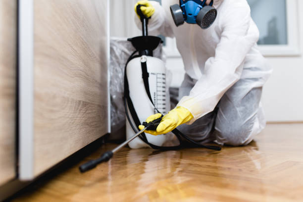Best Wasp Removal Services  in Piqua, OH