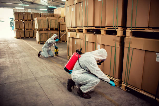 Wasp Removal Services in Piqua, OH