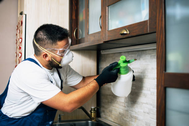 Best Ant Control Services  in Piqua, OH