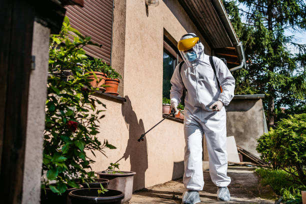 Best Termite Control Services  in Piqua, OH