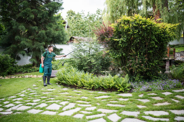 Best Wasp Removal Services  in Piqua, OH