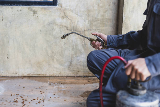 Best Mosquito Control Services  in Piqua, OH