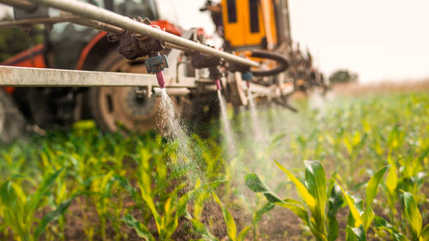 Best Pest Control Cost  in Piqua, OH
