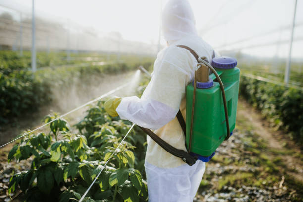 Best Residential Pest Control  in Piqua, OH